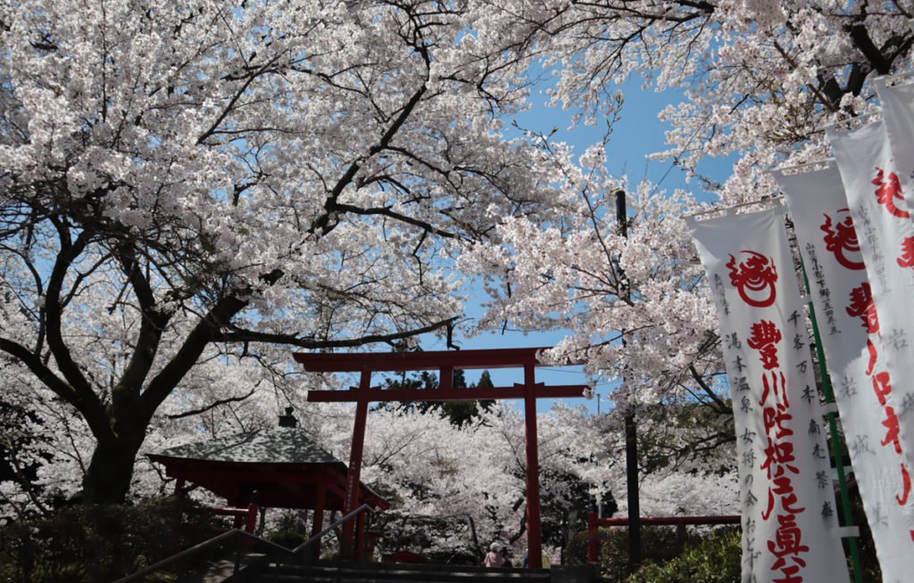 🏯 다이네이지 사찰(다이네이지)